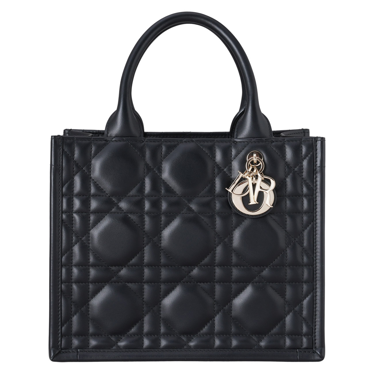 CHRISTIAN DIOR(USED)크리스찬 디올 북토트 스몰